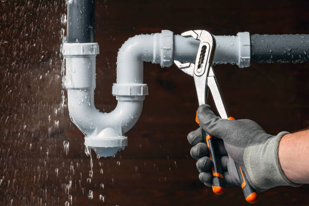 Professional Plumbing technician working in Palo, IA
